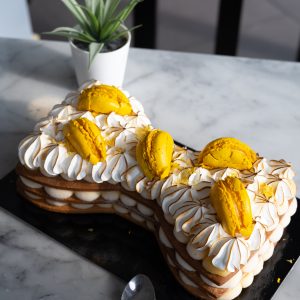 Nœud Papillon Citron & Meringue 🍋